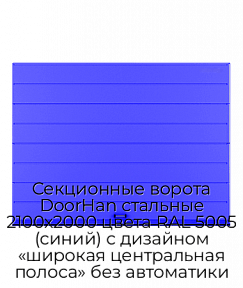 Секционные ворота DoorHan стальные 2100х2000 цвета RAL 5005 (синий) с дизайном «широкая центральная полоса» без автоматики