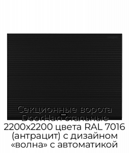 Секционные ворота DoorHan стальные 2200х2200 цвета RAL 7016 (антрацит) с дизайном «волна» с автоматикой preview 1