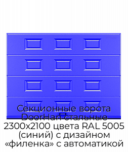 Секционные ворота DoorHan стальные 2300х2100 цвета RAL 5005 (синий) с дизайном «филенка» с автоматикой preview 1