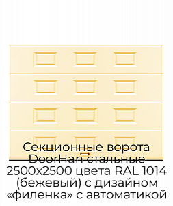 Секционные ворота DoorHan стальные 2500х2500 цвета RAL 1014 (бежевый) с дизайном «филенка» с автоматикой preview 1