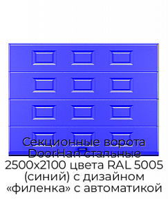 Секционные ворота DoorHan стальные 2500х2100 цвета RAL 5005 (синий) с дизайном «филенка» с автоматикой