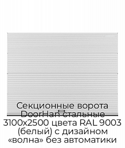 Секционные ворота DoorHan стальные 3100х2500 цвета RAL 9003 (белый) с дизайном «волна» без автоматики preview 1