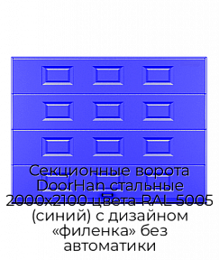 Секционные ворота DoorHan стальные 2000х2100 цвета RAL 5005 (синий) с дизайном «филенка» без автоматики