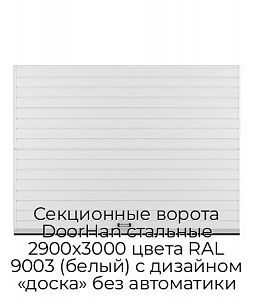 Секционные ворота DoorHan стальные 2900х3000 цвета RAL 9003 (белый) с дизайном «доска» без автоматики preview 1