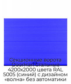 Секционные ворота DoorHan стальные 4200х2000 цвета RAL 5005 (синий) с дизайном «волна» без автоматики