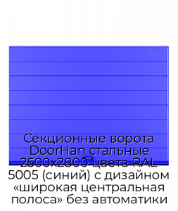 Секционные ворота DoorHan стальные 2500х2800 цвета RAL 5005 (синий) с дизайном «широкая центральная полоса» без автоматики preview 1