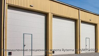 Промышленные секционные ворота Ryterna TLP 3875х5500 мм