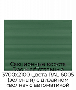 Секционные ворота DoorHan стальные 3700х2100 цвета RAL 6005 (зелёный) с дизайном «волна» с автоматикой preview 1