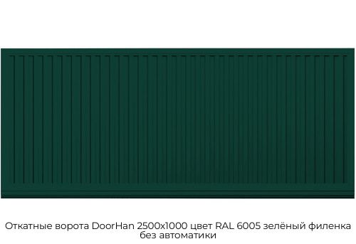 Откатные ворота DoorHan 2500х1000 цвет RAL 6005 зелёный филенка без автоматики 1