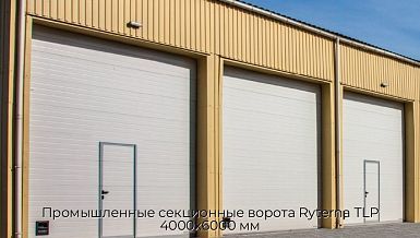 Промышленные секционные ворота Ryterna TLP 4000х6000 мм