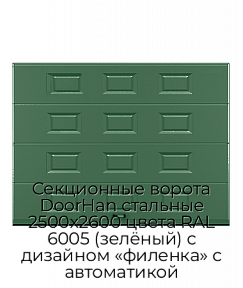 Секционные ворота DoorHan стальные 2500х2600 цвета RAL 6005 (зелёный) с дизайном «филенка» с автоматикой