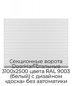 Секционные ворота DoorHan стальные 3100х2500 цвета RAL 9003 (белый) с дизайном «доска» без автоматики preview 1