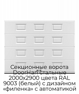 Секционные ворота DoorHan стальные 2000х2900 цвета RAL 9003 (белый) с дизайном «филенка» с автоматикой preview 1