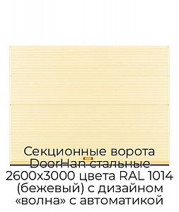 Секционные ворота DoorHan стальные 2600х3000 цвета RAL 1014 (бежевый) с дизайном «волна» с автоматикой preview 1