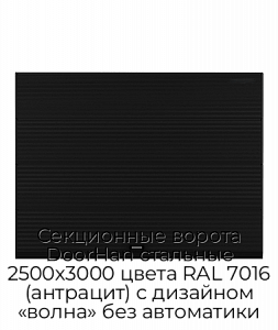 Секционные ворота DoorHan стальные 2500х3000 цвета RAL 7016 (антрацит) с дизайном «волна» без автоматики preview 1
