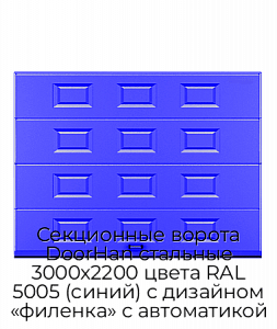 Секционные ворота DoorHan стальные 3000х2200 цвета RAL 5005 (синий) с дизайном «филенка» с автоматикой preview 1