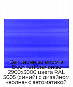 Секционные ворота DoorHan стальные 2900х3000 цвета RAL 5005 (синий) с дизайном «волна» с автоматикой preview 1