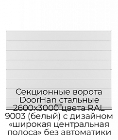Секционные ворота DoorHan стальные 2600х3000 цвета RAL 9003 (белый) с дизайном «широкая центральная полоса» без автоматики