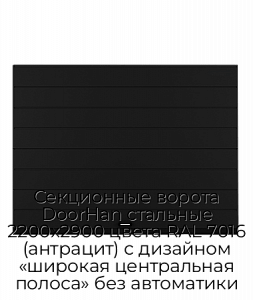 Секционные ворота DoorHan стальные 2200х2900 цвета RAL 7016 (антрацит) с дизайном «широкая центральная полоса» без автоматики preview 1