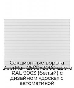 Секционные ворота DoorHan 2500х2000 цвета RAL 9003 (белый) с дизайном «доска» с автоматикой