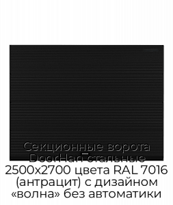 Секционные ворота DoorHan стальные 2500х2700 цвета RAL 7016 (антрацит) с дизайном «волна» без автоматики preview 1