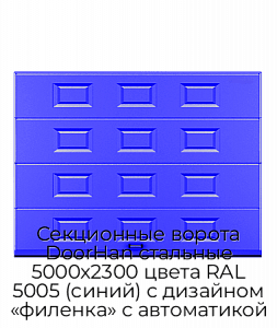 Секционные ворота DoorHan стальные 5000х2300 цвета RAL 5005 (синий) с дизайном «филенка» с автоматикой preview 1