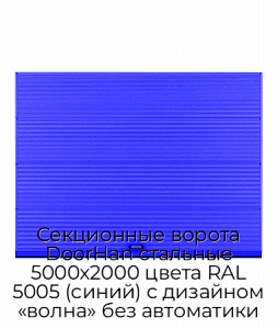Секционные ворота DoorHan стальные 5000х2000 цвета RAL 5005 (синий) с дизайном «волна» без автоматики preview 1