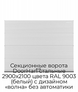 Секционные ворота DoorHan стальные 2900х2100 цвета RAL 9003 (белый) с дизайном «волна» без автоматики preview 1