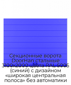 Секционные ворота DoorHan стальные 3100х2000 цвета RAL 5005 (синий) с дизайном «широкая центральная полоса» без автоматики