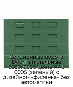 Секционные ворота DoorHan стальные 2500х2300 цвета RAL 6005 (зелёный) с дизайном «филенка» без автоматики preview 1