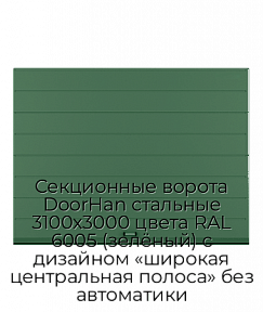 Секционные ворота DoorHan стальные 3100х3000 цвета RAL 6005 (зелёный) с дизайном «широкая центральная полоса» без автоматики