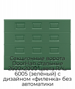 Секционные ворота DoorHan стальные 2600х2000 цвета RAL 6005 (зелёный) с дизайном «филенка» без автоматики preview 1