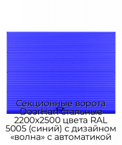 Секционные ворота DoorHan стальные 2200х2500 цвета RAL 5005 (синий) с дизайном «волна» с автоматикой
