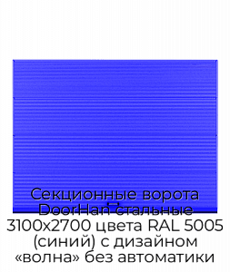 Секционные ворота DoorHan стальные 3100х2700 цвета RAL 5005 (синий) с дизайном «волна» без автоматики preview 1