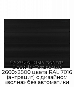 Секционные ворота DoorHan стальные 2600х2800 цвета RAL 7016 (антрацит) с дизайном «волна» без автоматики preview 1