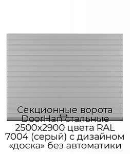 Секционные ворота DoorHan стальные 2500х2900 цвета RAL 7004 (серый) с дизайном «доска» без автоматики preview 1