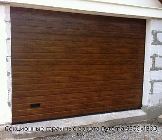 Секционные гаражные ворота Ryterna 5500х1800 мм