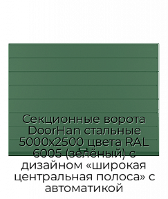 Секционные ворота DoorHan стальные 5000х2500 цвета RAL 6005 (зелёный) с дизайном «широкая центральная полоса» с автоматикой