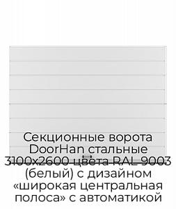 Секционные ворота DoorHan стальные 3100х2600 цвета RAL 9003 (белый) с дизайном «широкая центральная полоса» с автоматикой preview 1