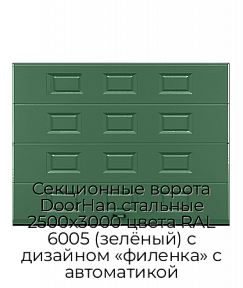 Секционные ворота DoorHan стальные 2500х3000 цвета RAL 6005 (зелёный) с дизайном «филенка» с автоматикой