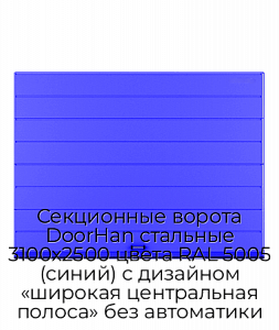 Секционные ворота DoorHan стальные 3100х2500 цвета RAL 5005 (синий) с дизайном «широкая центральная полоса» без автоматики preview 1